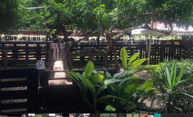 ARRIENDO FANTÁSTICA FINCA DE 2 HECTAREAS EN VÍA GUAMO - SALDAÑA, TOLIMA