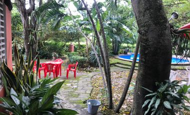 ARRIENDO FANTÁSTICA FINCA DE 2 HECTAREAS EN VÍA GUAMO - SALDAÑA, TOLIMA