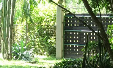 ARRIENDO FANTÁSTICA FINCA DE 2 HECTAREAS EN VÍA GUAMO - SALDAÑA, TOLIMA