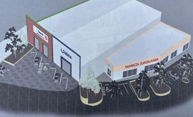 Locales en Terreno Comercial