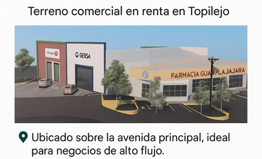 Locales en Terreno Comercial