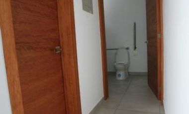 🏡 EL DEPARTAMENTO QUE COMBINA DISEÑO, CONFORT Y FUNCIONALIDAD