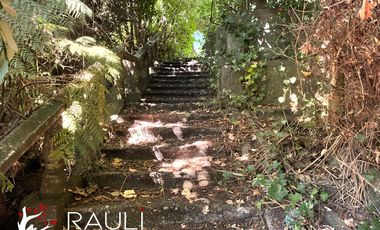 Gran propiedad en polo comercial, Valdivia