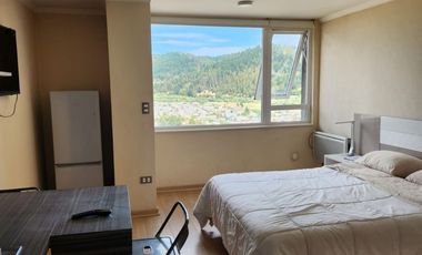 Comodo y práctico departamento en centro de Temuco