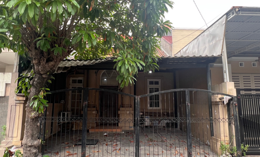 Rumah Taman Semanan Indah Dijual Harga Sangat Murah Di Bawah NJOP Cengkareng, Rawa Buaya, Jakarta Barat