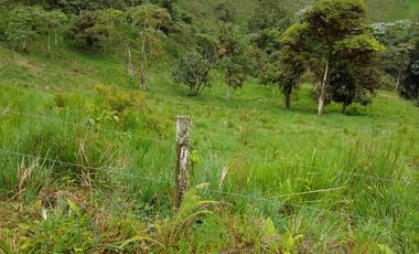 FINCA EN VENTA EN SAN MIGUEL DE LOS BANCOS