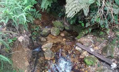 FINCA EN VENTA EN SAN MIGUEL DE LOS BANCOS