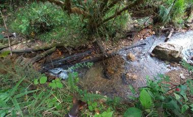 FINCA EN VENTA EN SAN MIGUEL DE LOS BANCOS
