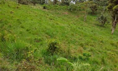 FINCA EN VENTA EN SAN MIGUEL DE LOS BANCOS