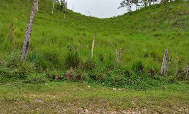 FINCA EN VENTA EN SAN MIGUEL DE LOS BANCOS