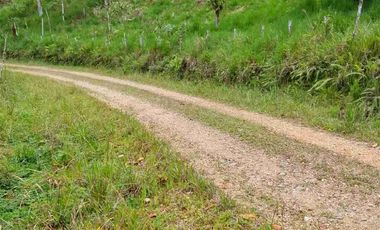 FINCA EN VENTA EN SAN MIGUEL DE LOS BANCOS