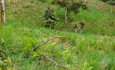 FINCA EN VENTA EN SAN MIGUEL DE LOS BANCOS