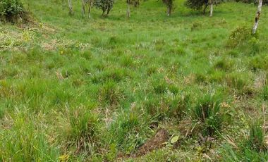 FINCA EN VENTA EN SAN MIGUEL DE LOS BANCOS