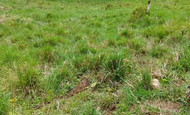 FINCA EN VENTA EN SAN MIGUEL DE LOS BANCOS