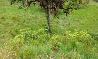 FINCA EN VENTA EN SAN MIGUEL DE LOS BANCOS