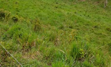 FINCA EN VENTA EN SAN MIGUEL DE LOS BANCOS