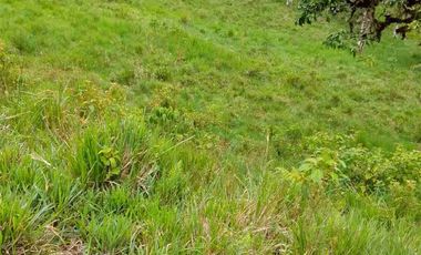 FINCA EN VENTA EN SAN MIGUEL DE LOS BANCOS