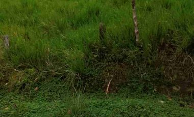 FINCA EN VENTA EN SAN MIGUEL DE LOS BANCOS