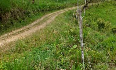 FINCA EN VENTA EN SAN MIGUEL DE LOS BANCOS