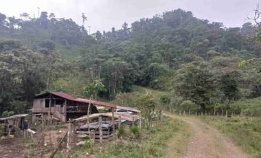 FINCA EN VENTA EN SAN MIGUEL DE LOS BANCOS