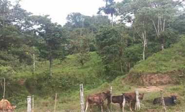 FINCA EN VENTA EN SAN MIGUEL DE LOS BANCOS