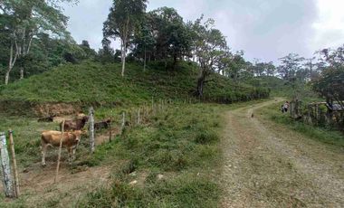 FINCA EN VENTA EN SAN MIGUEL DE LOS BANCOS