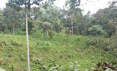 FINCA EN VENTA EN SAN MIGUEL DE LOS BANCOS