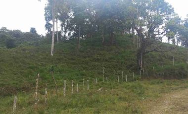 FINCA EN VENTA EN SAN MIGUEL DE LOS BANCOS