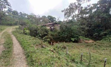 FINCA EN VENTA EN SAN MIGUEL DE LOS BANCOS