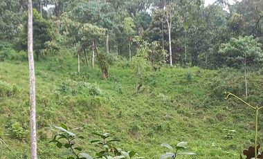 FINCA EN VENTA EN SAN MIGUEL DE LOS BANCOS