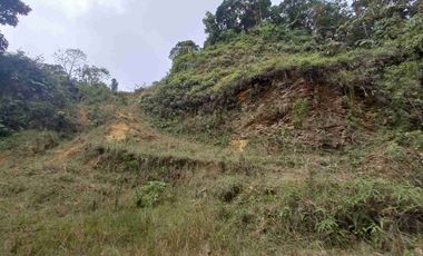 FINCA EN VENTA EN SAN MIGUEL DE LOS BANCOS