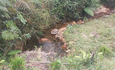 FINCA EN VENTA EN SAN MIGUEL DE LOS BANCOS