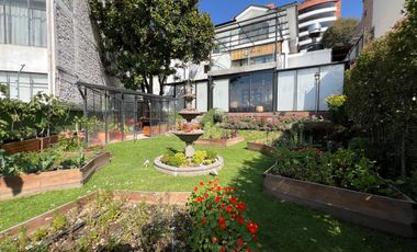 Casa Comercial en Renta Remodelada