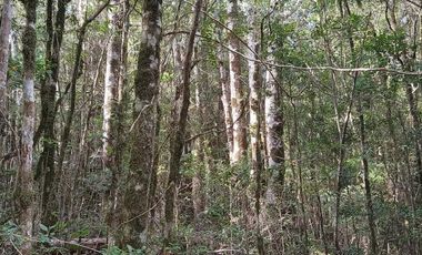 TERRENO DE 1 HÁ. EN LOTEO CERRO DE LA MARIQUINA