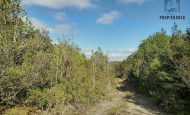 TERRENO DE 1 HÁ. EN LOTEO CERRO DE LA MARIQUINA