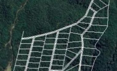 TERRENO DE 1 HÁ. EN LOTEO CERRO DE LA MARIQUINA