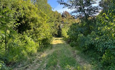 Venta parcelas con orilla de Río Chillán - Camino Las Mariposas Km 17,5