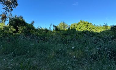 Venta parcelas con orilla de Río Chillán - Camino Las Mariposas Km 17,5