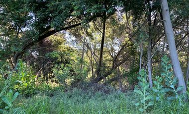 Venta parcelas con orilla de Río Chillán - Camino Las Mariposas Km 17,5