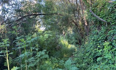 Venta parcelas con orilla de Río Chillán - Camino Las Mariposas Km 17,5