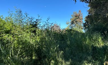 Venta parcelas con orilla de Río Chillán - Camino Las Mariposas Km 17,5