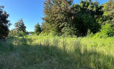 Venta parcelas con orilla de Río Chillán - Camino Las Mariposas Km 17,5