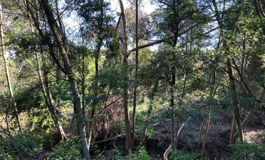 Venta parcelas con orilla de Río Chillán - Camino Las Mariposas Km 17,5