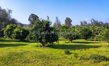 Leon Propiedades vende hermosa parcela de 1ha. con casa en sector los Naranjos, Curacaví.