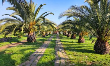 Leon Propiedades vende hermosa parcela de 1ha. con casa en sector los Naranjos, Curacaví.