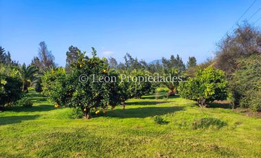 Leon Propiedades vende hermosa parcela de 1ha. con casa en sector los Naranjos, Curacaví.