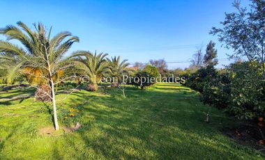 Leon Propiedades vende hermosa parcela de 1ha. con casa en sector los Naranjos, Curacaví.