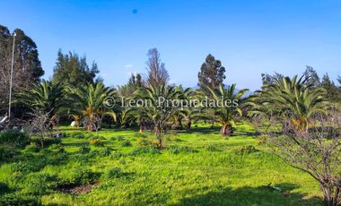 Leon Propiedades vende hermosa parcela de 1ha. con casa en sector los Naranjos, Curacaví.