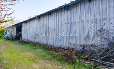 Leon Propiedades vende hermosa parcela de 1ha. con casa en sector los Naranjos, Curacaví.