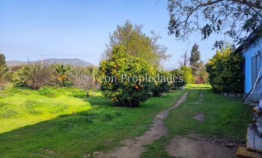 Leon Propiedades vende hermosa parcela de 1ha. con casa en sector los Naranjos, Curacaví.